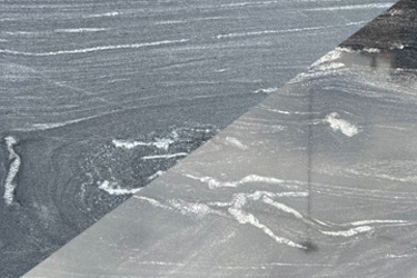 Black Forest (Dual Finish)